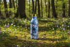 Bridgerton Edelstahl-Thermosflasche, doppelwandig (450 ml)